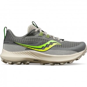 Saucony Peregrine 13 Trailrunning Schuhe Damen Grau | WIEN JNWI