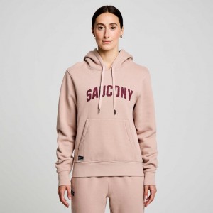 Saucony Recovery Hoodie Damen Rosa | ÖSTERREICH LHPQ