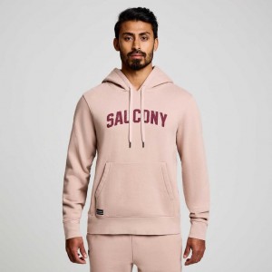 Saucony Recovery Hoodie Herren Rosa | ÖSTERREICH JTHY