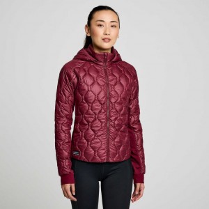 Saucony Solstice Oysterpuff Jacke Damen Bordeaux | WIEN HGAP