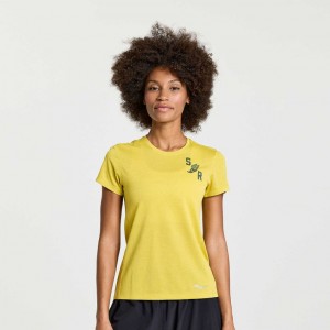 Saucony Stopwatch Graphic Kurzes Sleeve T-Shirt Damen Gelb | WIEN SLWF