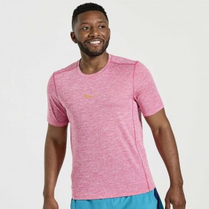 Saucony Stopwatch Kurzes Sleeve T-Shirt Herren Rosa | ÖSTERREICH LZVI