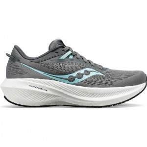 Saucony Triumph 21 Laufschuhe Damen Grau | WIEN DOCW